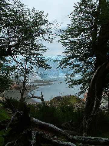 dscf0318.jpg