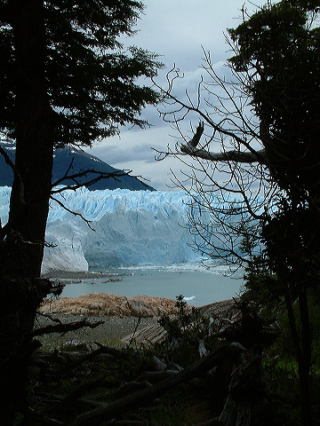 dscf0321.jpg