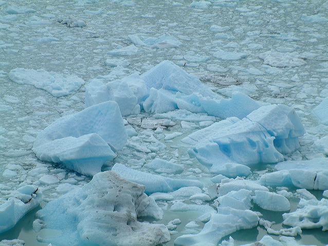 dscf0336.jpg