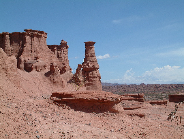 dscf0391.jpg