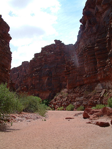 dscf0397.jpg