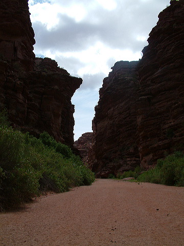 dscf0398.jpg