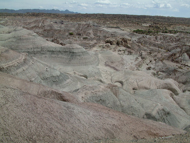 dscf0401.jpg