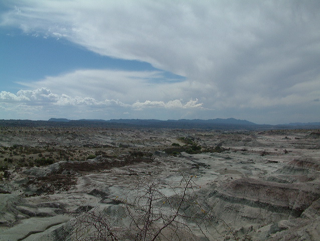 dscf0402.jpg