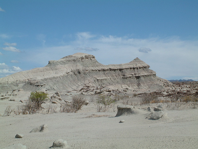dscf0406.jpg