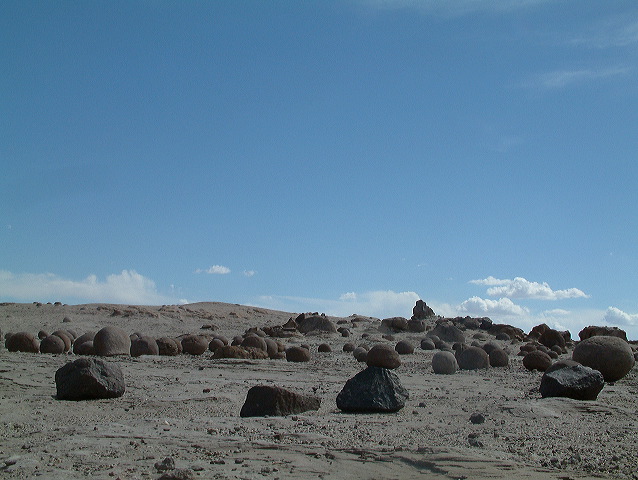 dscf0408.jpg