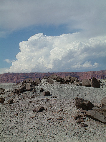 dscf0410.jpg