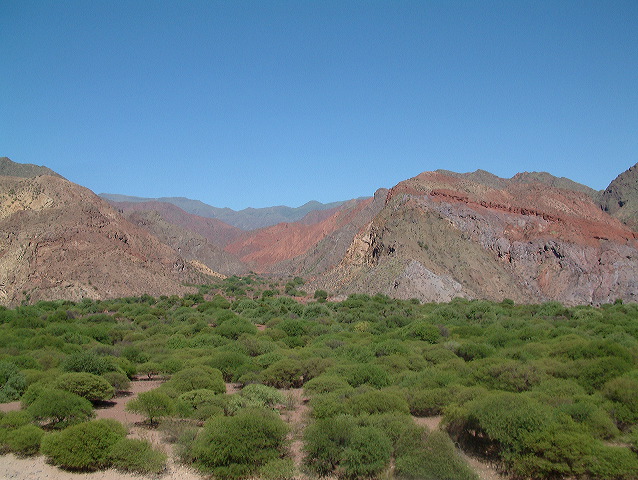 dscf0419.jpg