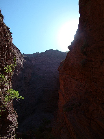 dscf0421.jpg