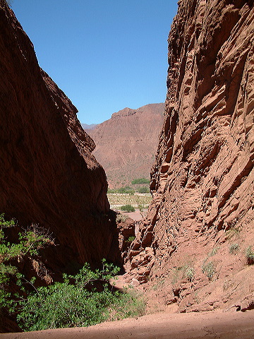 dscf0422.jpg