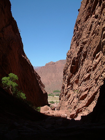 dscf0424.jpg