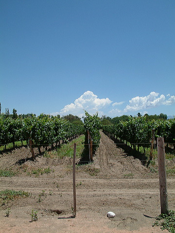 dscf0428.jpg