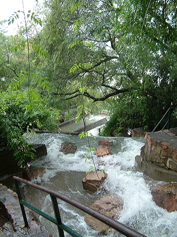 dscf0441.jpg