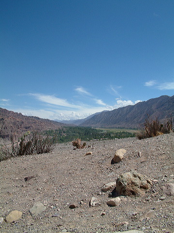 dscf0485.jpg