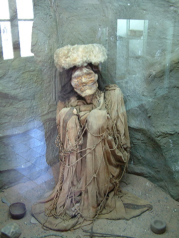 dscf0489.jpg