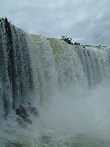 dscf0548.jpg