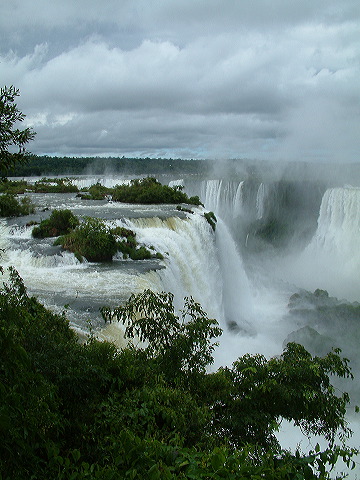 dscf0559.jpg
