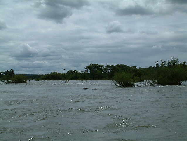dscf0575.jpg
