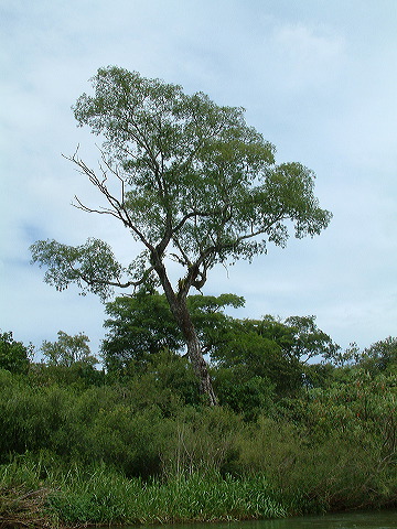 dscf0576.jpg