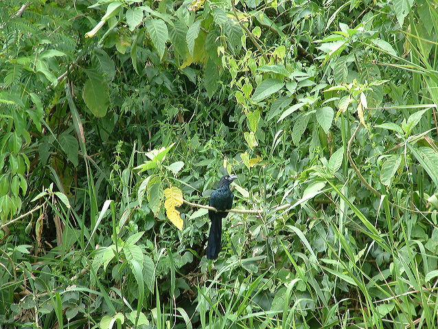 dscf0578.jpg