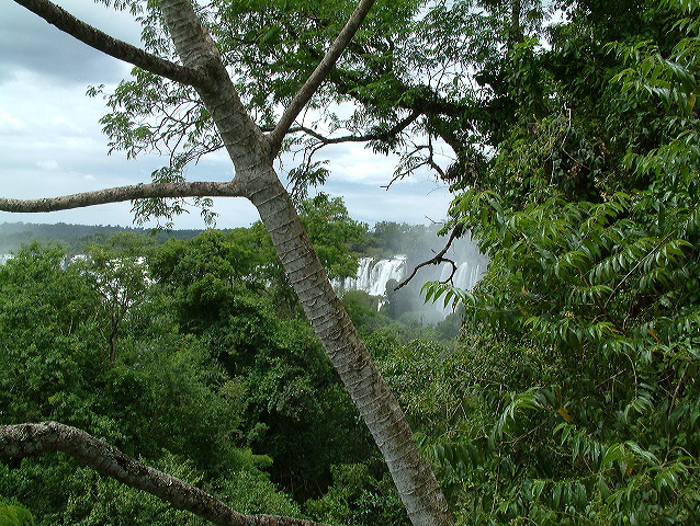 dscf0581.jpg