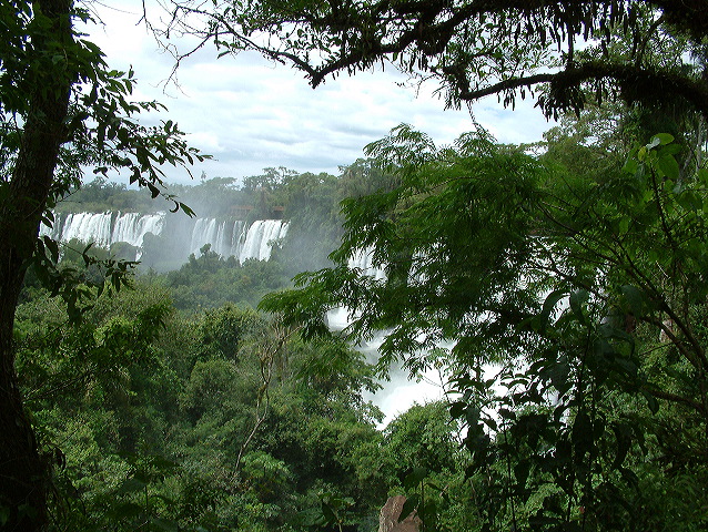 dscf0582.jpg