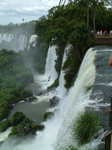 dscf0591.jpg