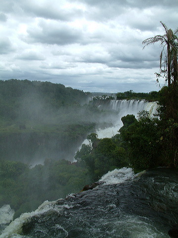 dscf0595.jpg