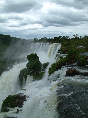 dscf0596.jpg
