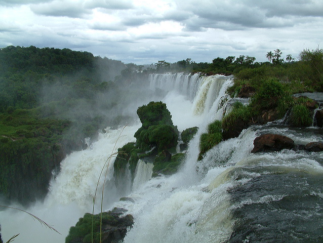 dscf0597.jpg