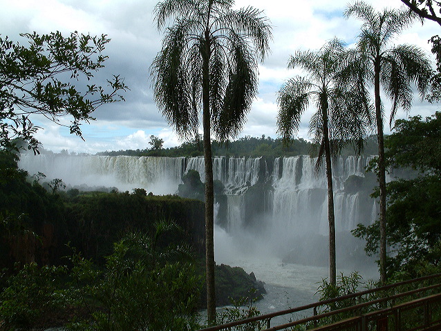 dscf0601.jpg