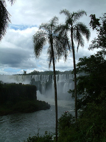 dscf0602.jpg