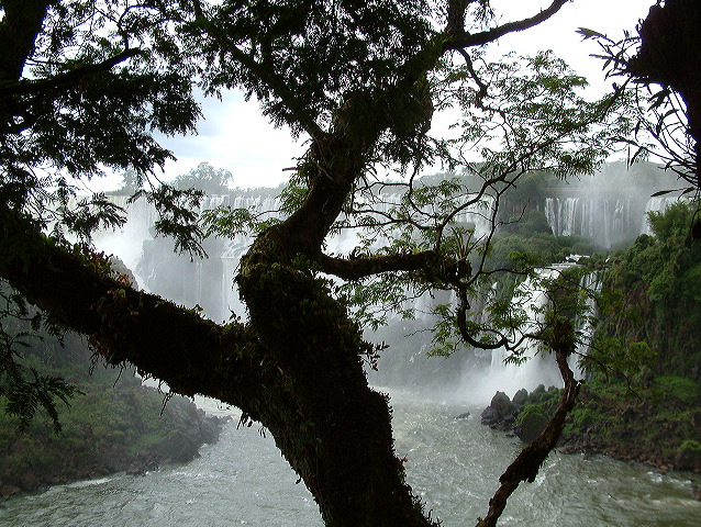 dscf0603.jpg