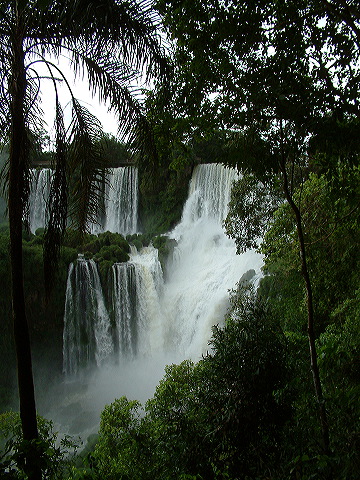 dscf0611.jpg