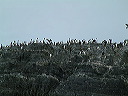 dscf0036