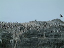 dscf0038
