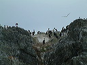 dscf0039