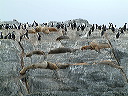 dscf0040