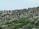 dscf0044