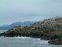 dscf0045