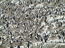 dscf0049