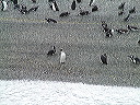 dscf0059