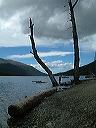 dscf0118