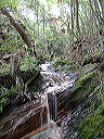 dscf0131