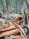 dscf0226