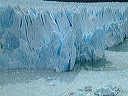 dscf0343