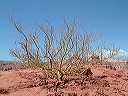 dscf0426