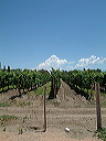 dscf0428