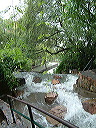 dscf0441