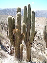 dscf0481